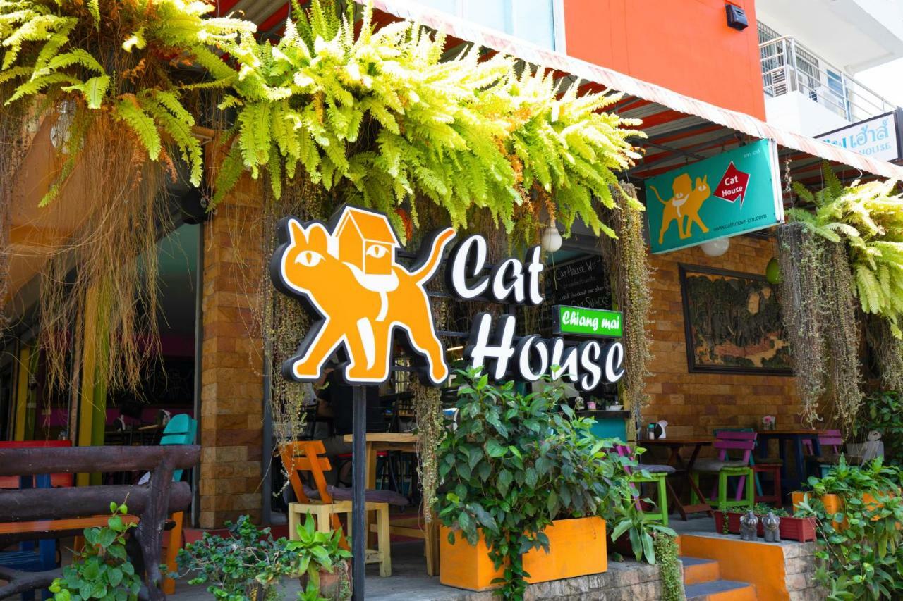 Cat House Hotel Csiangmaj Kültér fotó